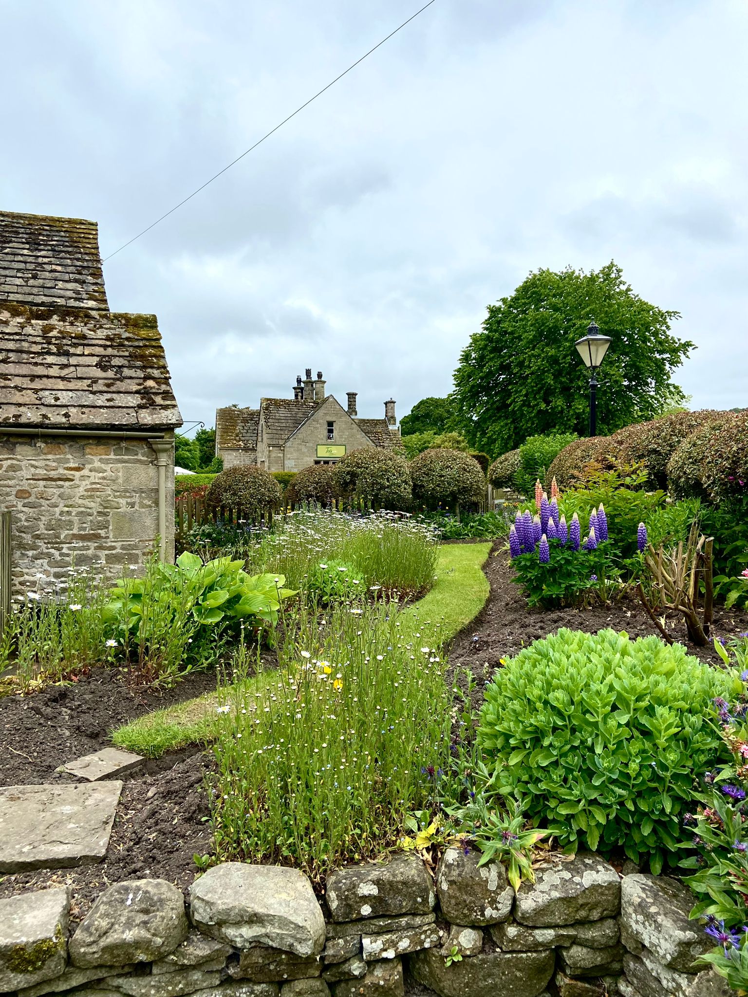 English Speaking Activity Leeds - Yorkshire College English learning activities in Leeds