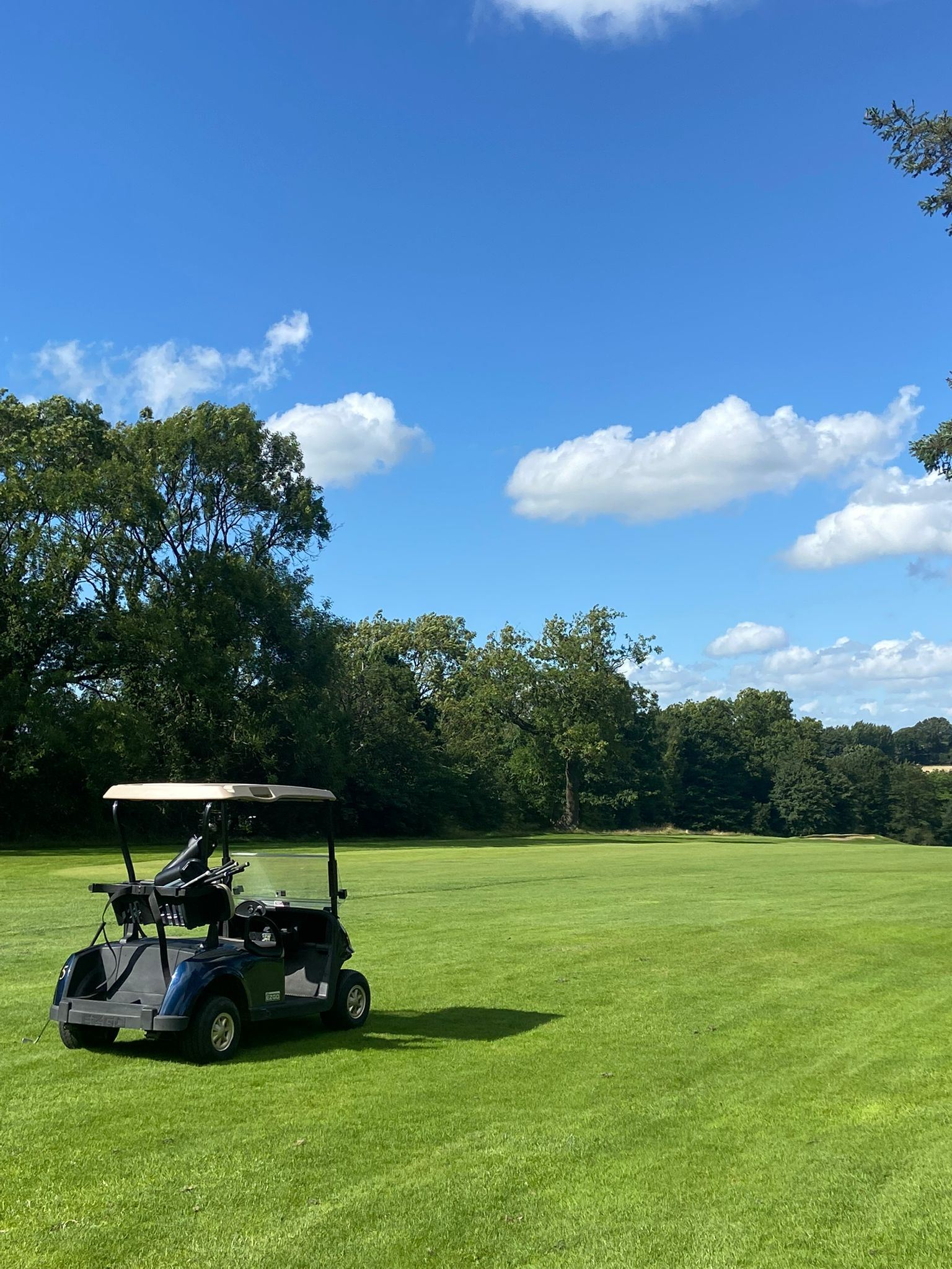 Learn English Through Activities - Yorkshire College English learning activities in Leeds