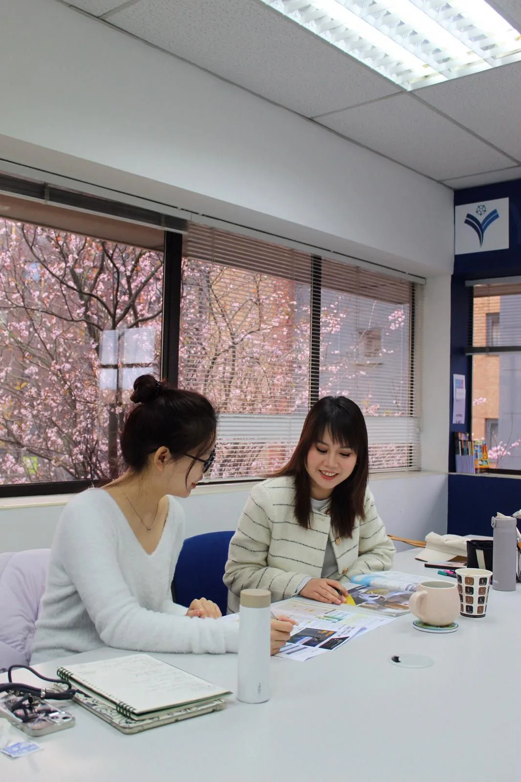 Student Visas for Short English Courses in the UK - Yorkshire College blog thumbnail